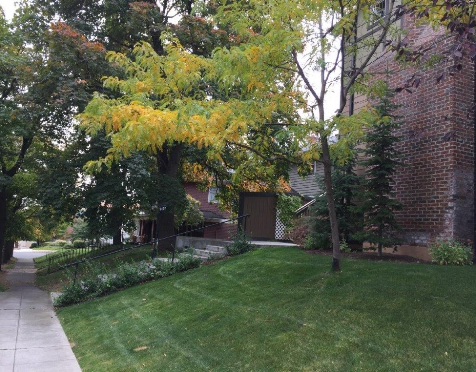 on Hemlock, south building and building to soukth